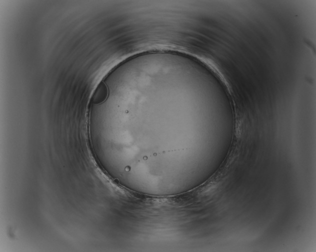 X0000101210903200807181415