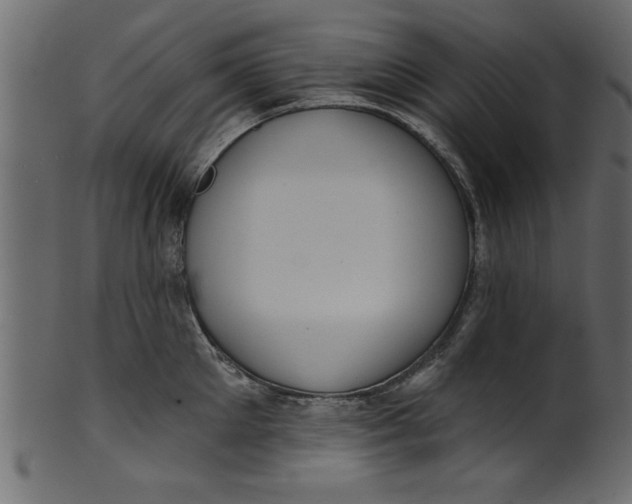 X0000101210905200807181415