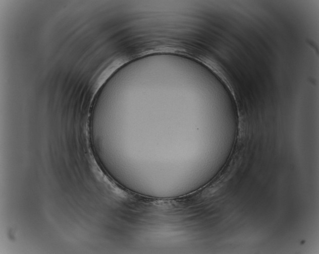 X0000101210906200807181415