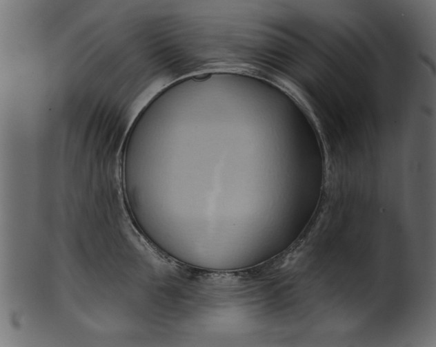 X0000101210907200807181415