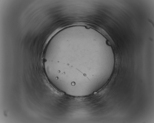 X0000101210908200807181415