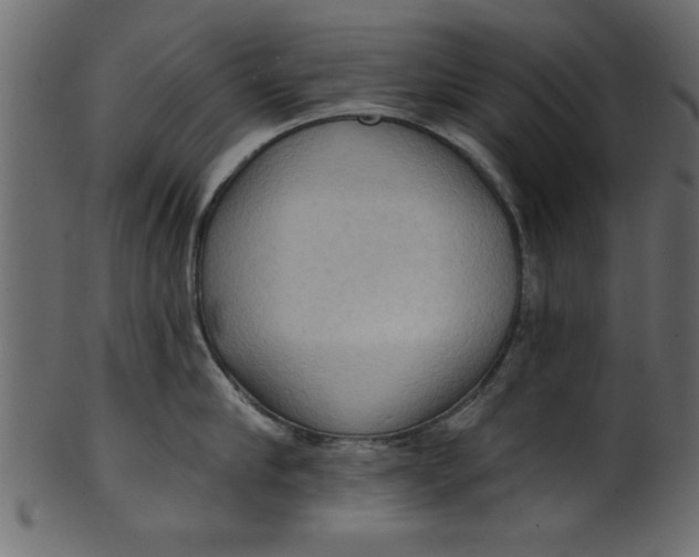 X0000101210910200807181415