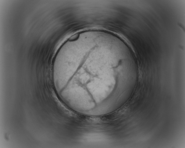 X0000101210911200807181415