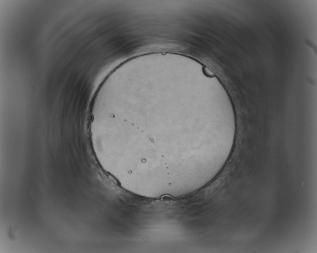 X0000101210912200807181415