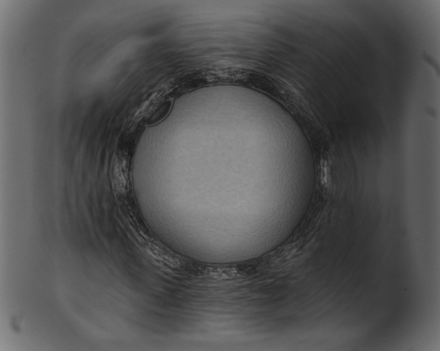 X0000101210915200807181414