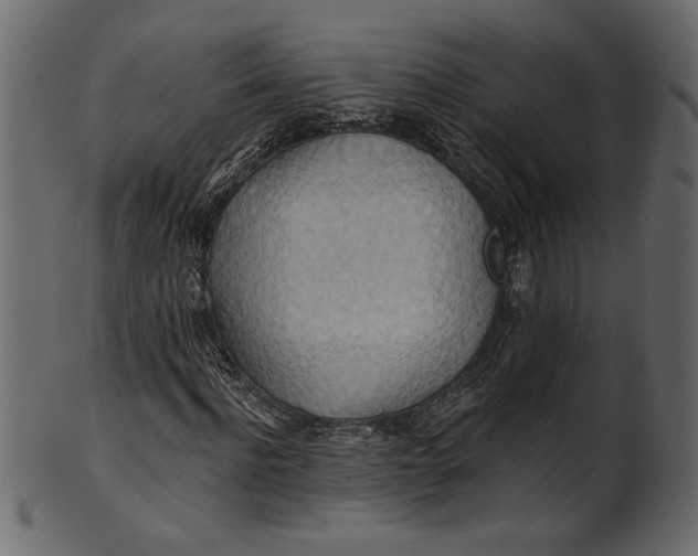 X0000101210916200807181414