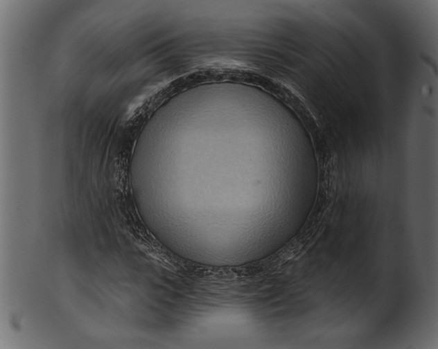 X0000101210919200807181414