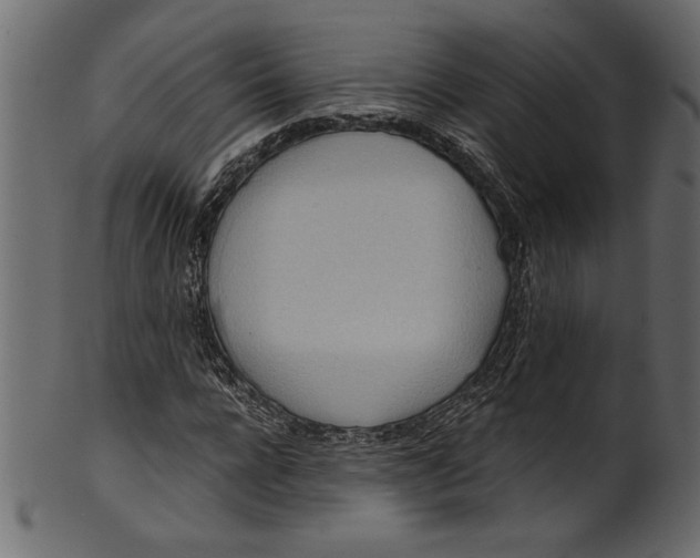 X0000101210920200807181414