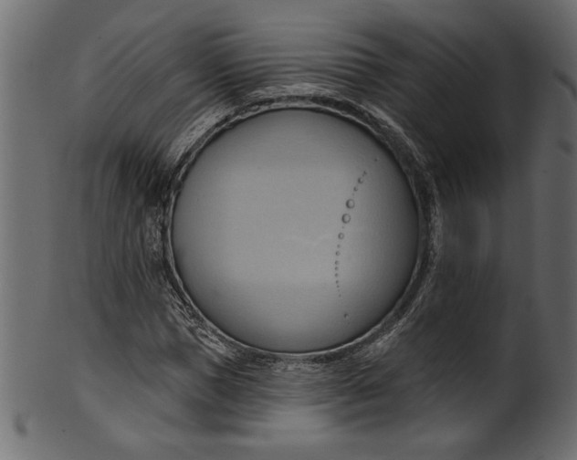 X0000101210921200807181414