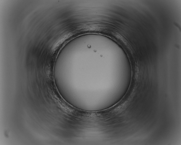 X0000101210922200807181414