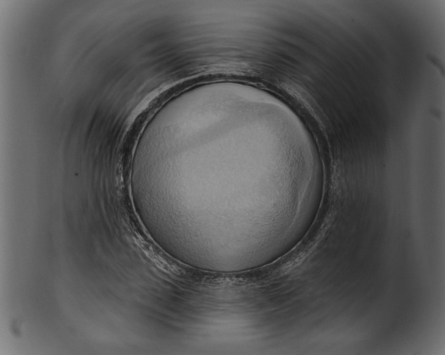 X0000101210923200807181414