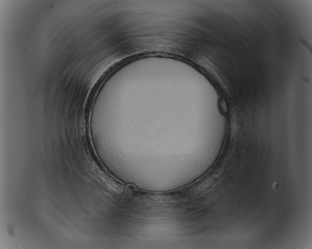 X0000101210924200807181414