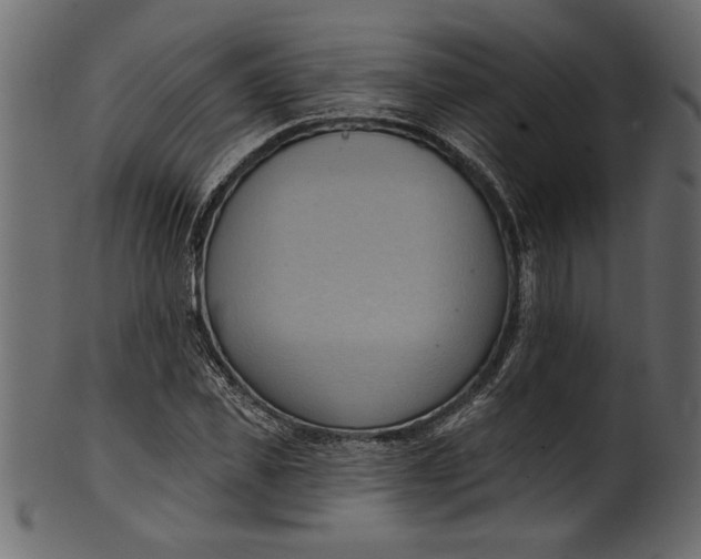 X0000101210925200807181414