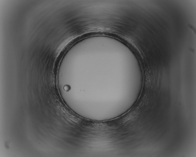 X0000101210927200807181414