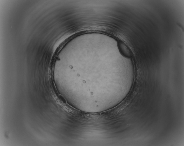 X0000101210928200807181415