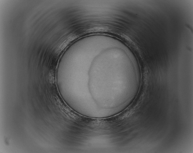 X0000101210929200807181415