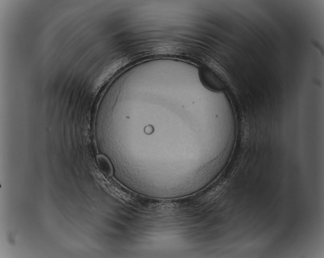 X0000101210930200807181415