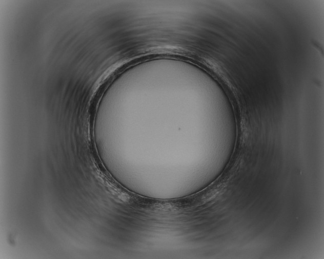 X0000101210931200807181415