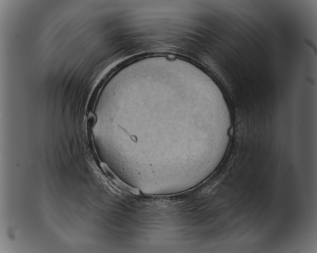 X0000101210932200807181415