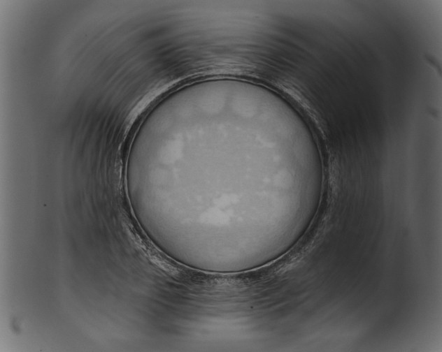 X0000101210933200807181415