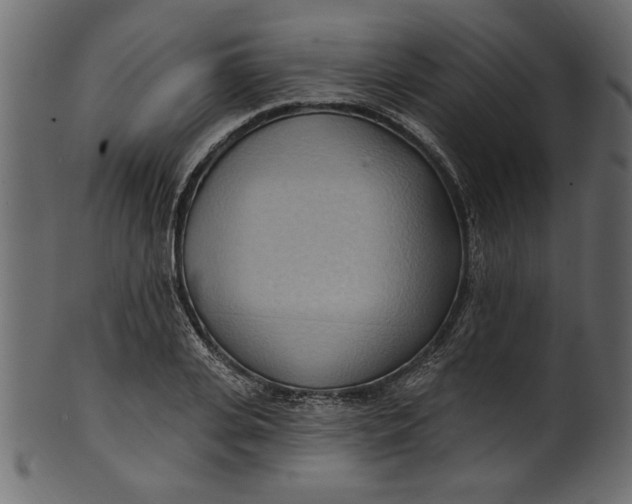 X0000101210935200807181415