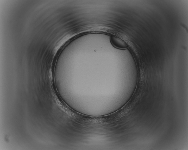 X0000101210936200807181415