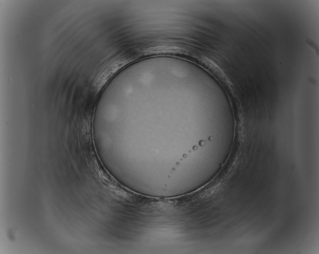 X0000101210937200807181415