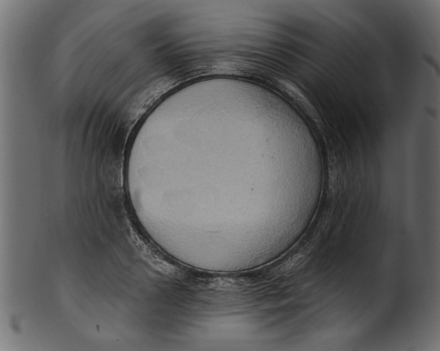 X0000101210938200807181415