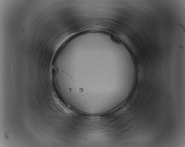 X0000101210940200807181415