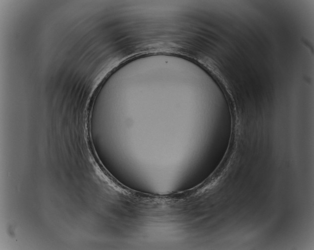 X0000101210941200807181415