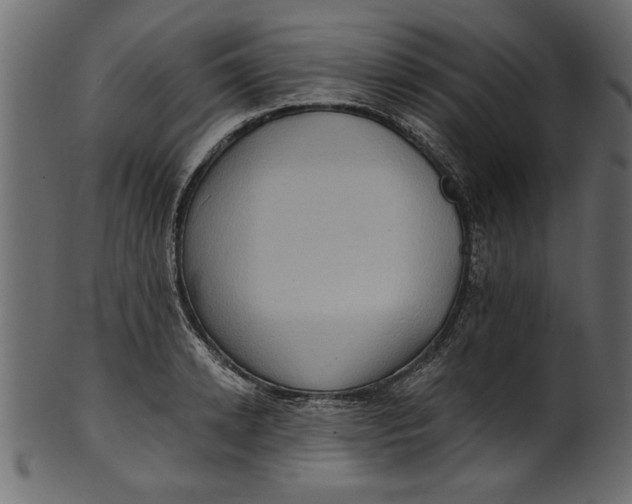 X0000101210942200807181415