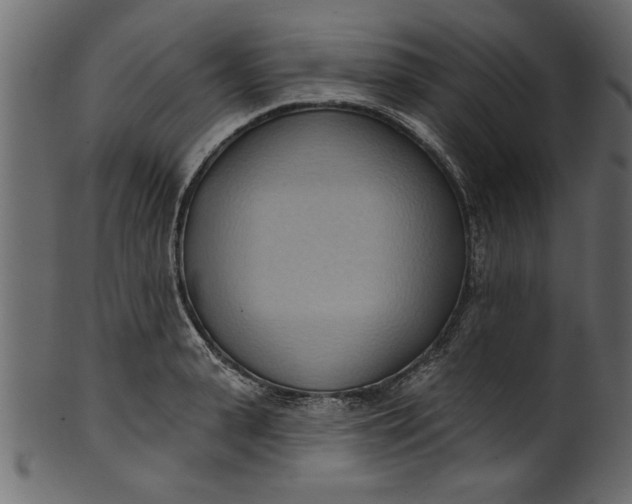 X0000101210943200807181415