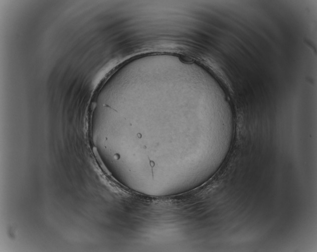 X0000101210944200807181415