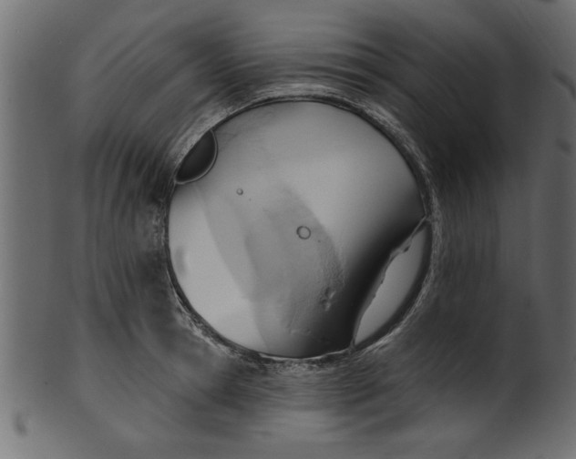 X0000101210945200807181415