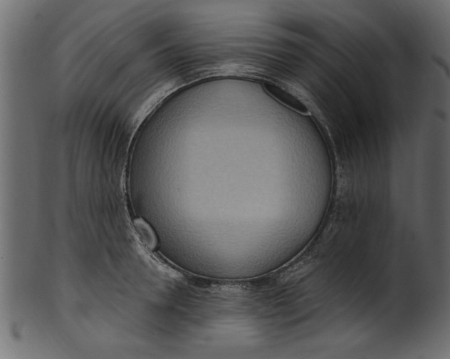 X0000101210946200807181415