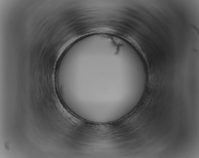 X0000101210947200807181415