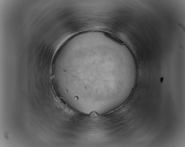 X0000101210948200807181415