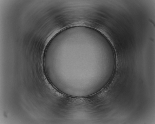 X0000101210949200807181415