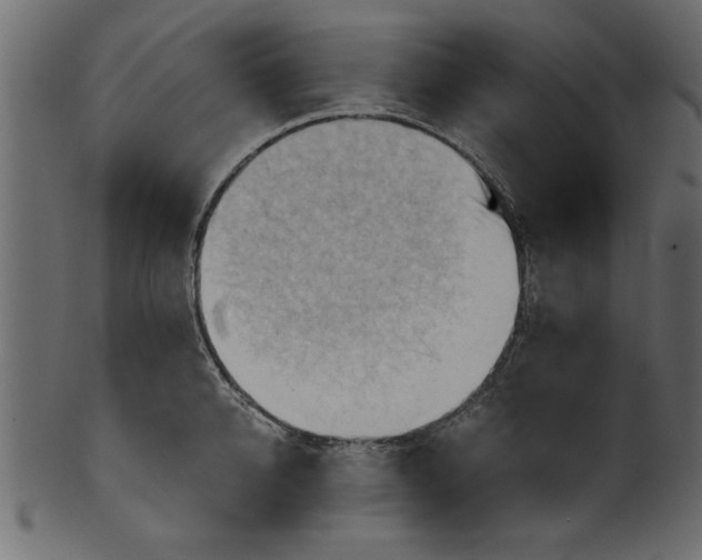 X0000101210950200807181415