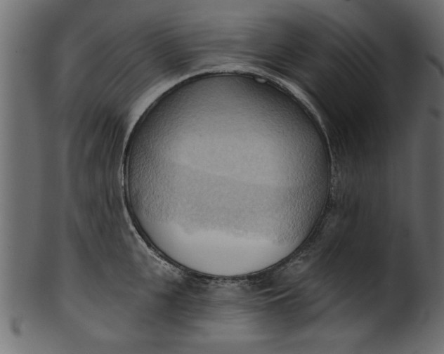 X0000101210951200807181415