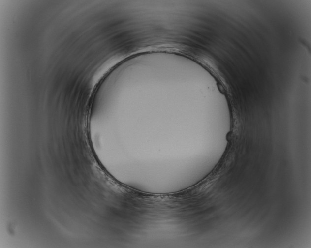 X0000101210952200807181415