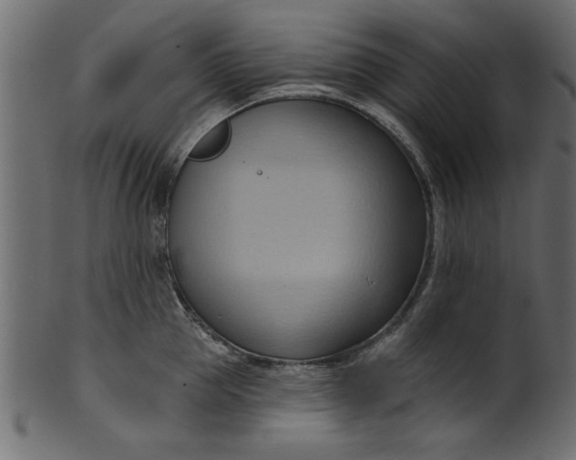 X0000101210953200807181415