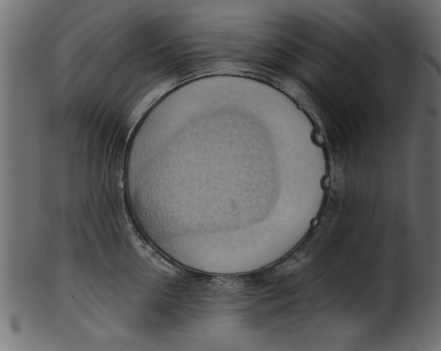 X0000101210954200807181415