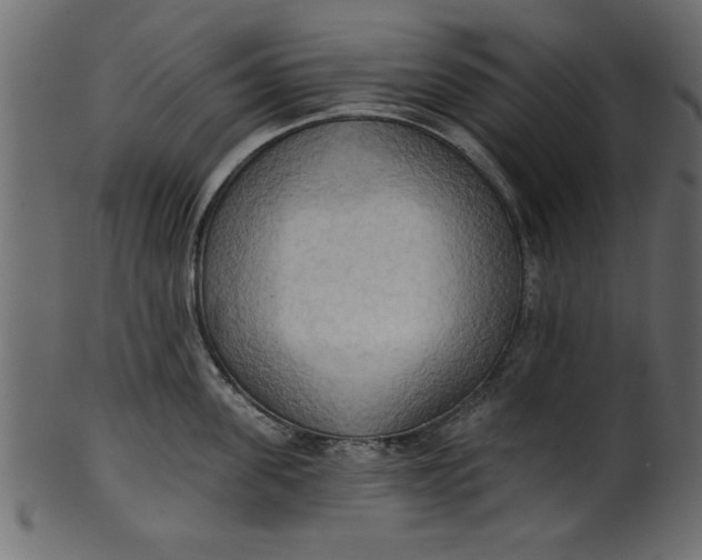 X0000101210955200807181415