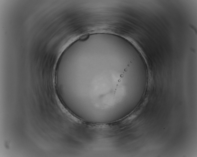 X0000101210957200807181415