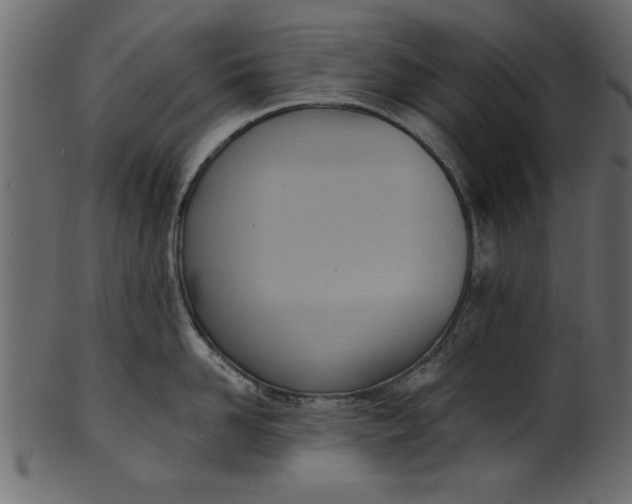 X0000101210958200807181415