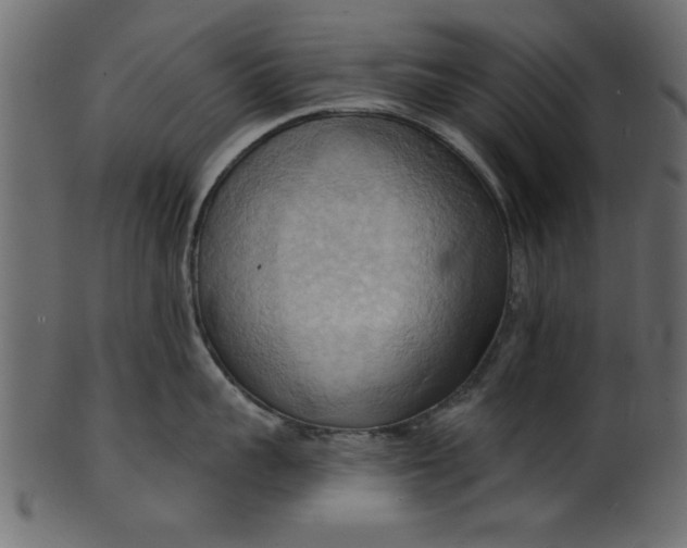 X0000101210959200807181415