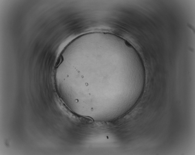 X0000101210960200807181415