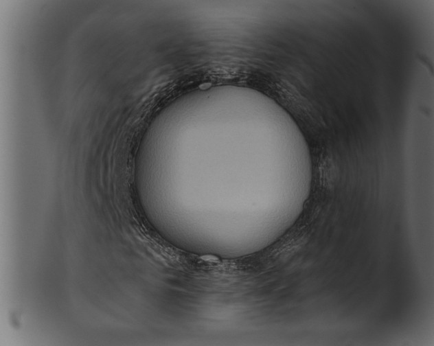 X0000101210961200807181414