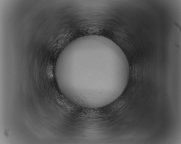 X0000101210962200807181414